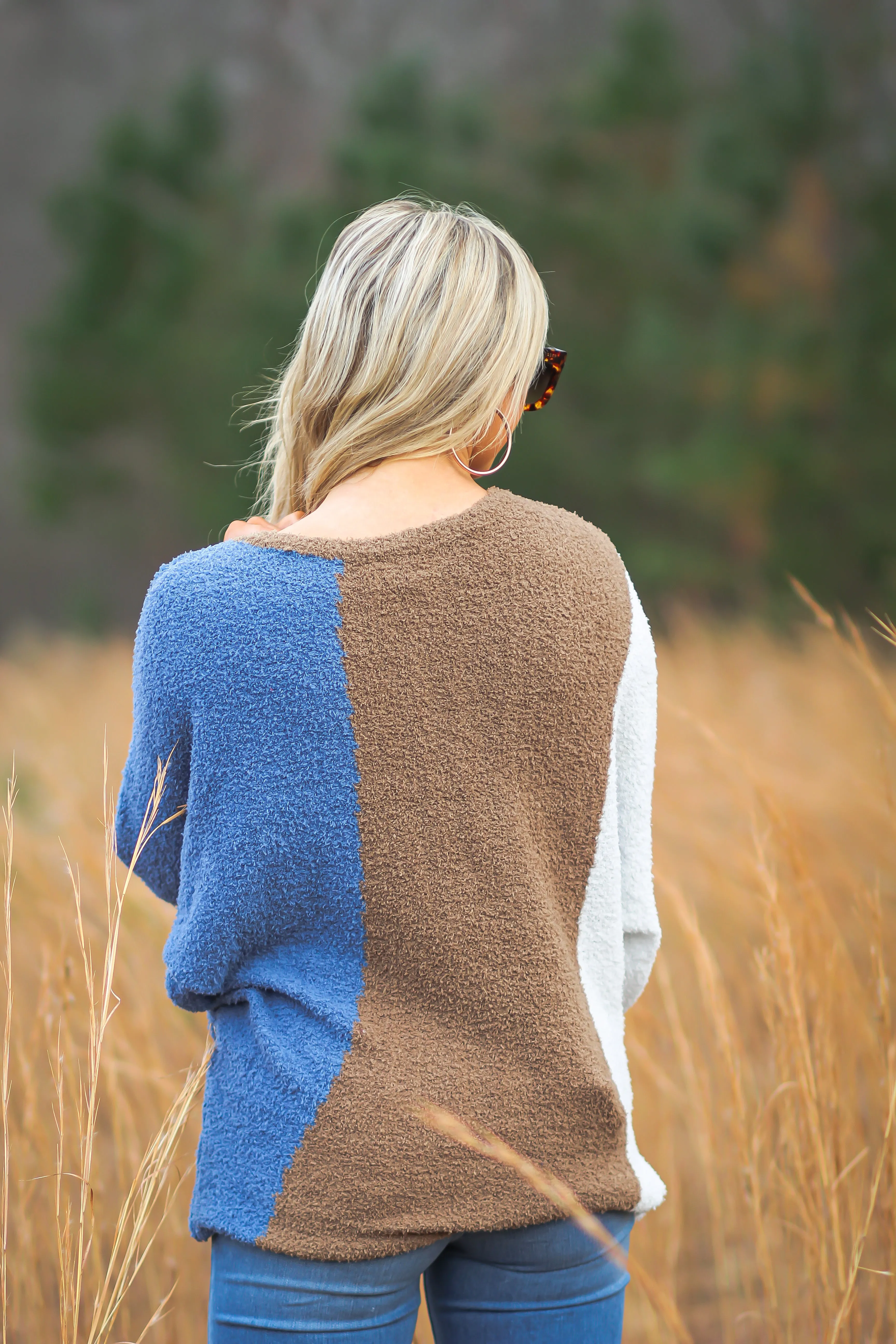 Brown & Blue Colorblock Dolman Sleeve Sweater